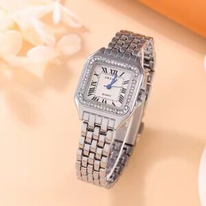Panther Luxury Silver Women's Watch